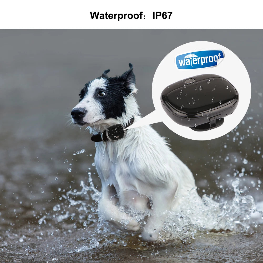 Mini GPS Pet GPS 4G LTE FDD Waterproof IP67 Cat Dog GPS WIFI Tracking Ringtone Call LED Light Low Battery Alarm GPS Pet Tracker